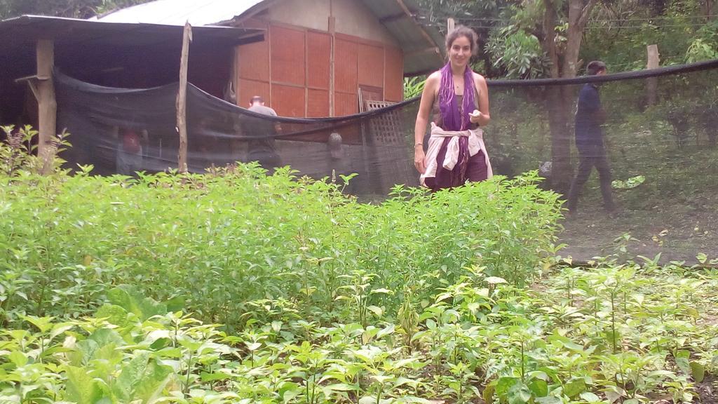 The Local Story Resort Ban Mon Talaeng Kültér fotó
